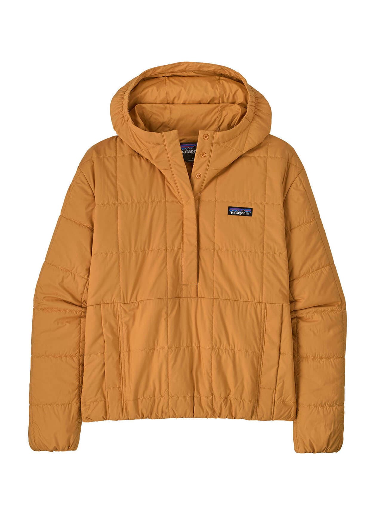 Patagonia Women's Light Gust Hooded Pullover FA25