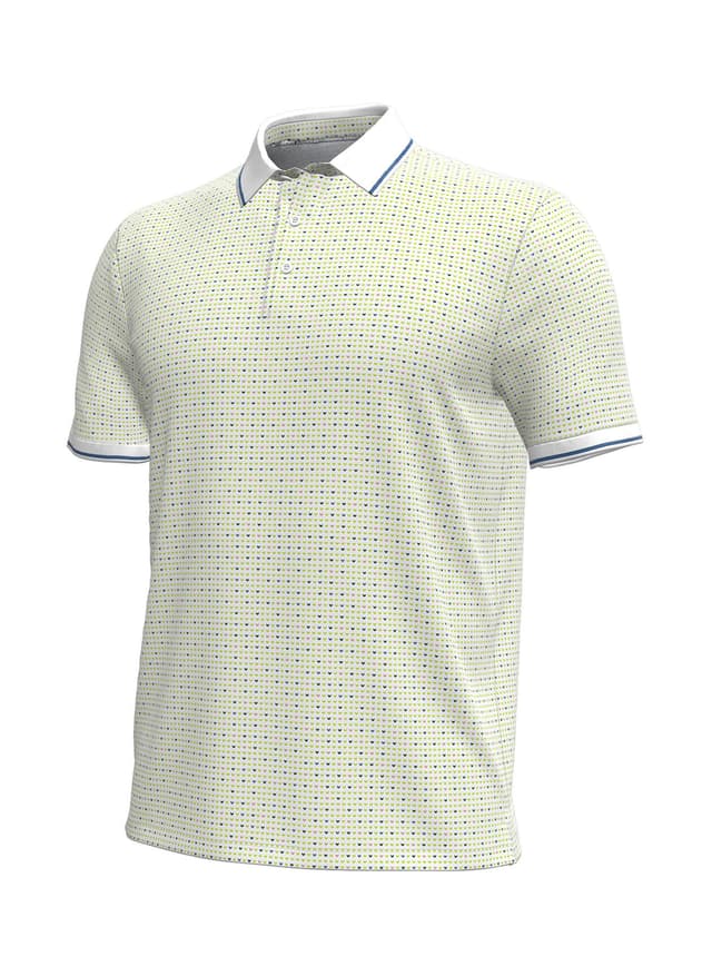 Under Armour Men's ArmourDry Archival Check Polo - Green LG